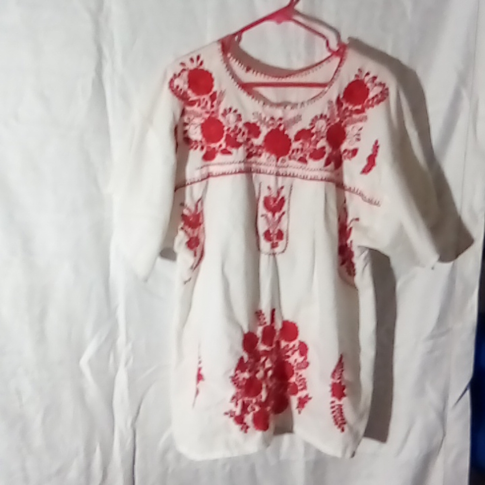 Hand embroidered festive blouse